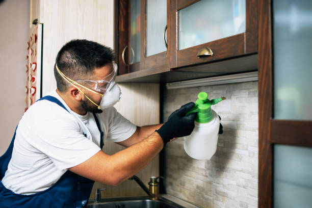 Best Emergency Pest Control  in Gardiner, ME