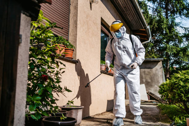Best Pest Control Near Me  in Gardiner, ME