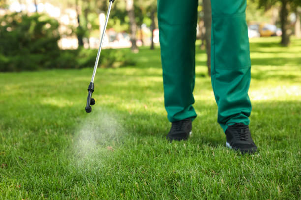 Best Pest Control Treatment  in Gardiner, ME