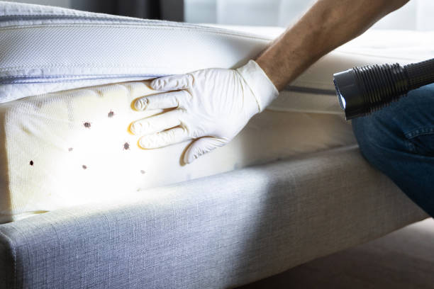 Pest Prevention Services in Gardiner, ME