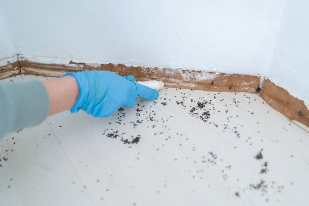 Best Insect Control  in Gardiner, ME