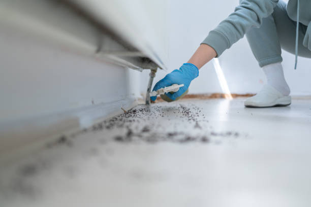 Pest Control Cost in Gardiner, ME